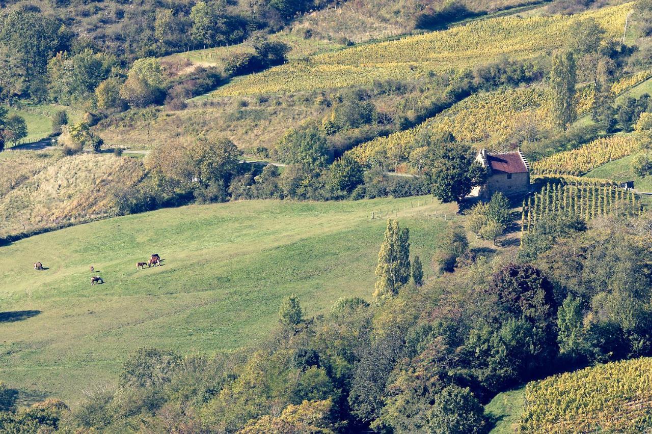 Les Billardes - Le Gite - Jura Gizia Exteriér fotografie